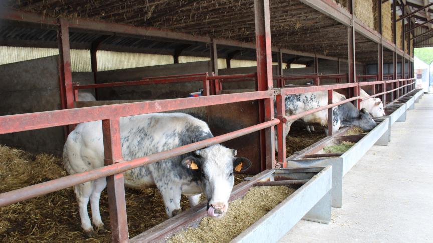 “Waar nodig komt Boeren op een Kruispunttussen in de kosten voor de dierenarts of voor de verzorging van de dieren, zodat de basiszorg gegarandeerd wordt”, besluit Weyts.