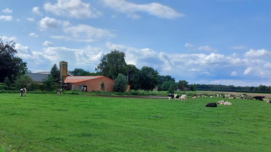 Delen van de Nederlandse natuur blijken nog gevoeliger voor stikstof dan eerder gedacht.