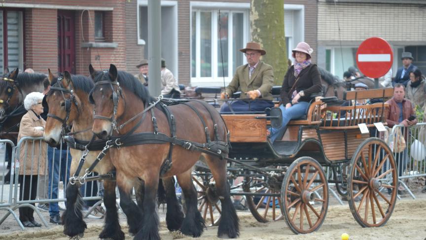 Marleen en Eric aan het werk tijdens een behendigheidswedstrijd voor trekpaarden op Jaarmarkt Vilvoorde 2023.