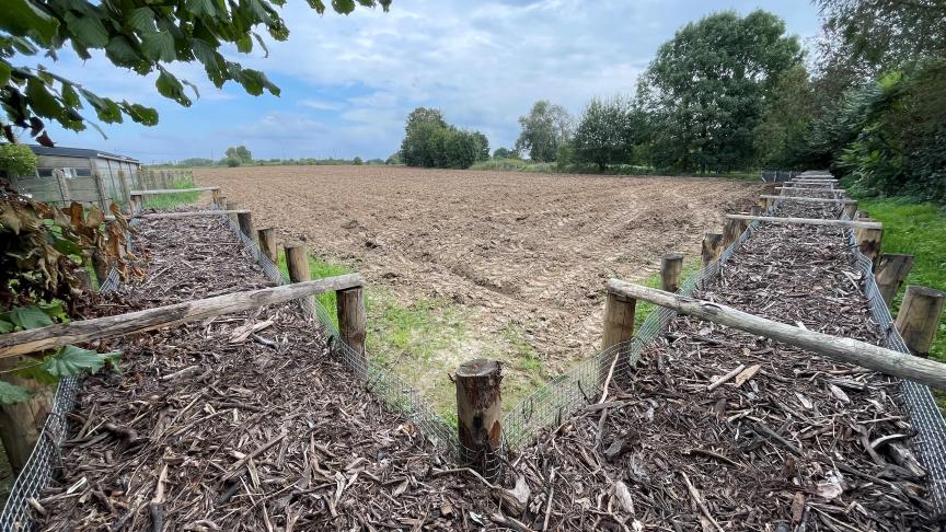 De houthakseldam is 54 meter lang en 20 cm ingegraven.
