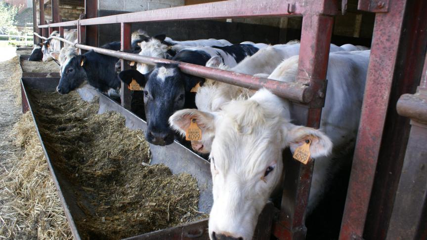 Door hun expertise te combineren, streven Helexia en BFA ernaar diervoederbedrijven te helpen hun CO2 reductiedoelstellingen te bereiken.