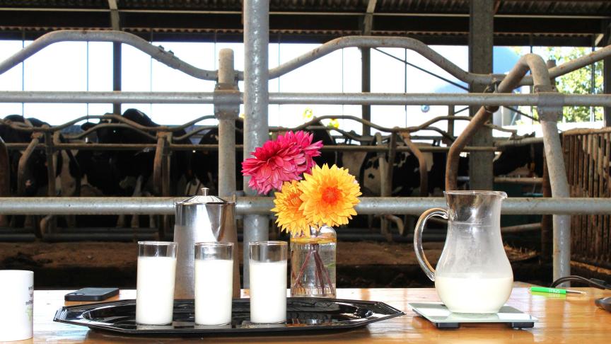 Net als de melkveehouders heeft ook de zuivelverwerking serieuze stappen vooruitgezet inzake duurzaamheid.