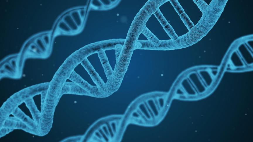 De Europese Unie overweegt om de wetgeving rond genetisch gemodificeerde organismen (ggo’s) te versoepelen voor Crispr-Cas-aanpassingen die in principe ook in de natuur kunnen voorkomen.