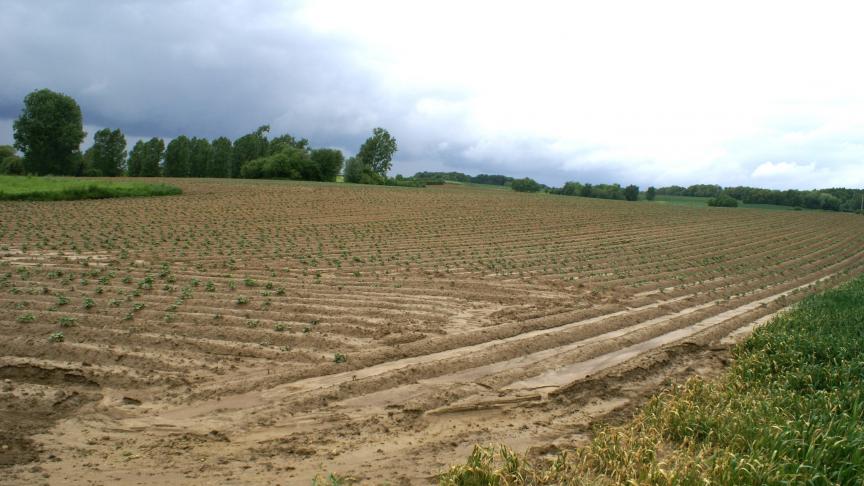 Landbouwers kunnen de bevraging over erosiebestrijding invullen tot en met 31 december.