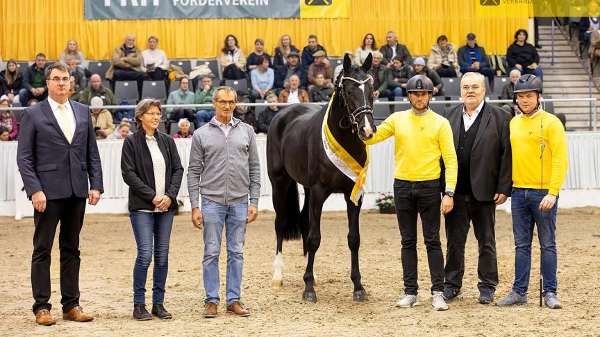 De uitblinker op de Hannoveraanse dressuurhengstenkeuring was Dancier Gold x Vivaldi