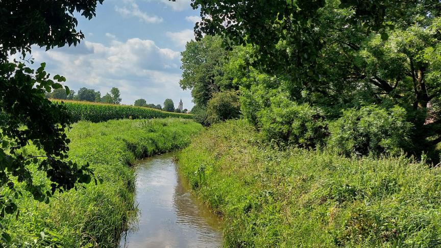 Vlaanderen heeft al 15.000 ha extra natuur gerealiseerd van de 20.000 die werden beloofd in het regeerakkoord.