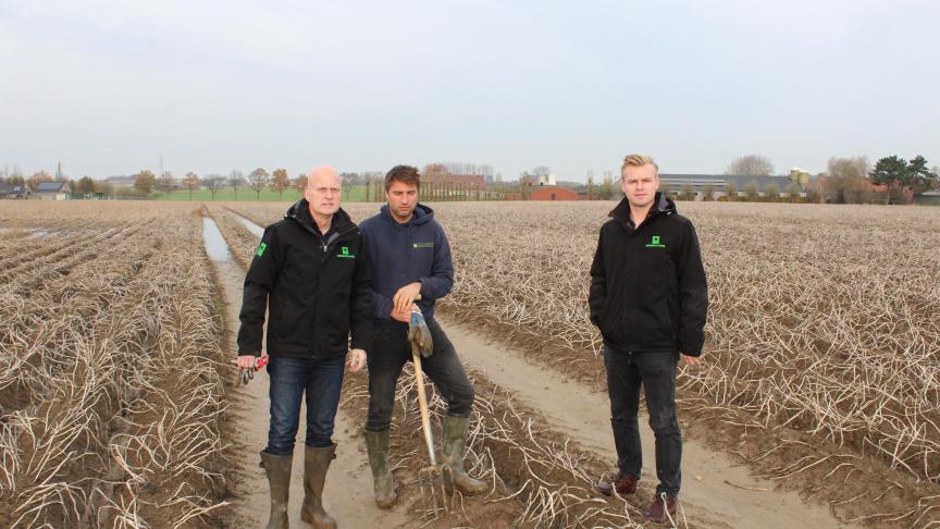 Wouter Devlies (midden) van de Aardappelhoeve inspecteert samen met Jan Schreuder (links) en Daan Dessomviele van Vereinigte Hagel (rechts) een veld Nicola-aardappelen.