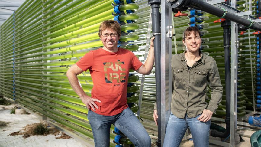 Kris en Ginny runnen niet enkel een melkveebedrijf, maar doen ook aan algenkweek, koolstofopslag, agroforestry en ze baten samen een hoevewinkel uit.