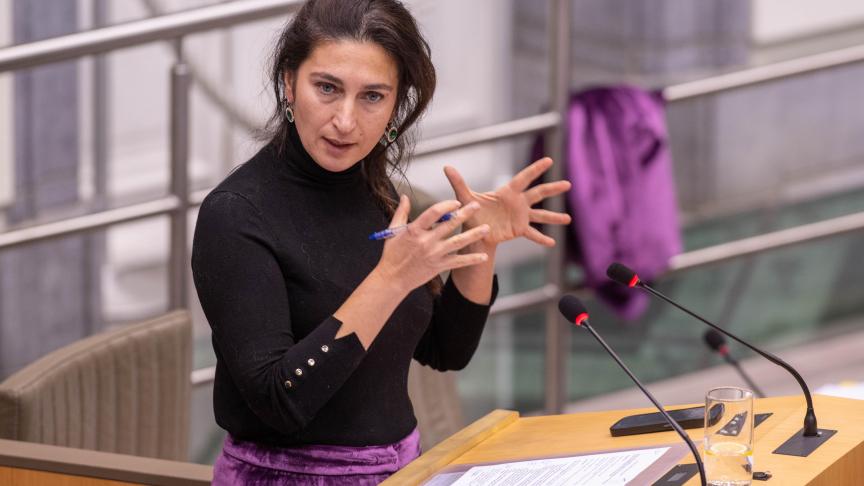 In verschillende biomassa-installaties in Vlaanderen wordt diverse biomassa als goedkope brandstof gebruikt om energie op te wekken.