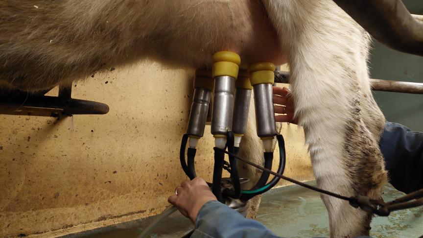 De grootste budgettaire posten van MilkBE blijven de monitoring van contaminanten in rauwe melk, Duurzaamheid en het solidariteitsfonds Botulisme.