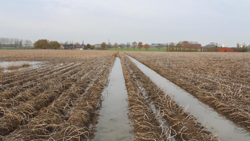 Verschillende leden van de commissie Landbouw stellen vast dat de Vlaamse landbouwers niet staan te springen voor de brede weersverzekering.
