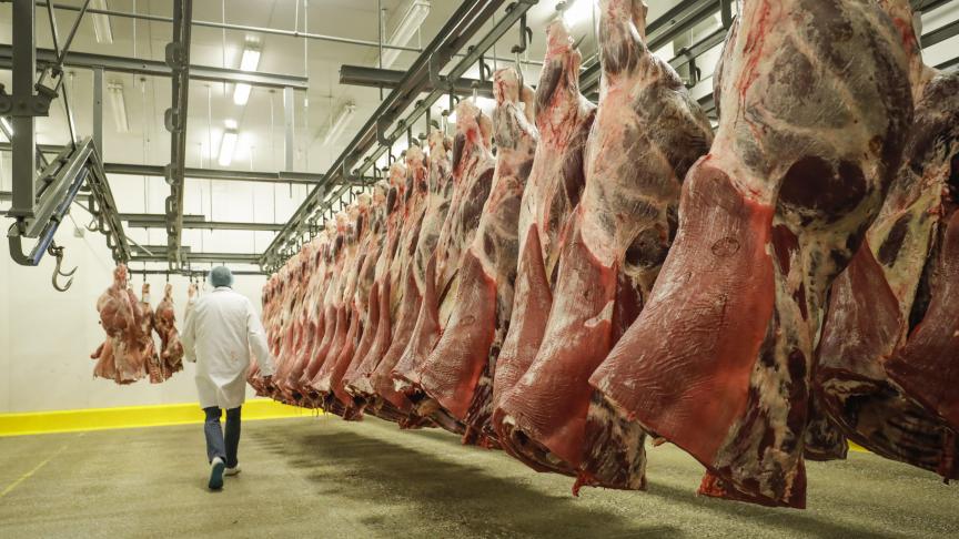 Diverse supermarkten gaan boeren meer betalen voor rundsvlees.