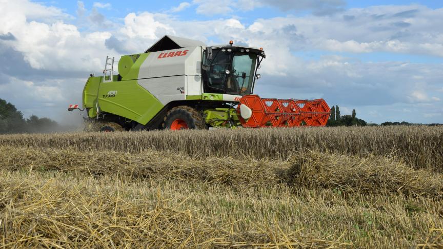 De rendabiliteit in de landbouwsector is na enkele moeilijke jaren weer iets aan het verbeteren.