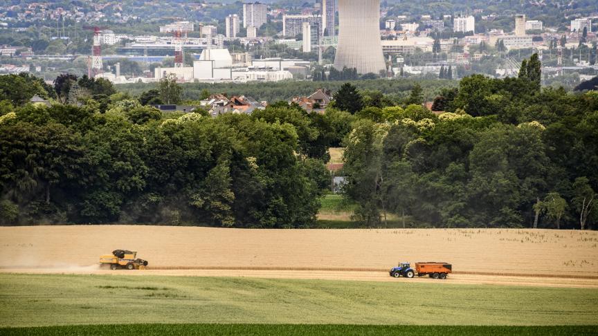 De provincie Vlaams-Brabant is op zoek naar landbouwers die willen deelnemen aan de klankbordgroep Brabantse Wouden van 7 maart.