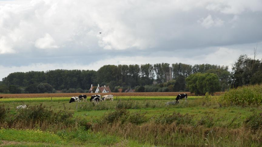 Volgens de afspraken van het landbouwakkoord zal de Vlaamse overheid tot 1 oktober terughoudend zijn wat gewijzigde bestemmingen van landbouwgrond aangaat.