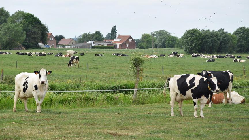 De voorstellen om landbouw om te vormen ‘vragen om een machinerie die veel sneller draait dan in het verleden’ terwijl de capaciteit en de expertise juist zijn afgebouwd.