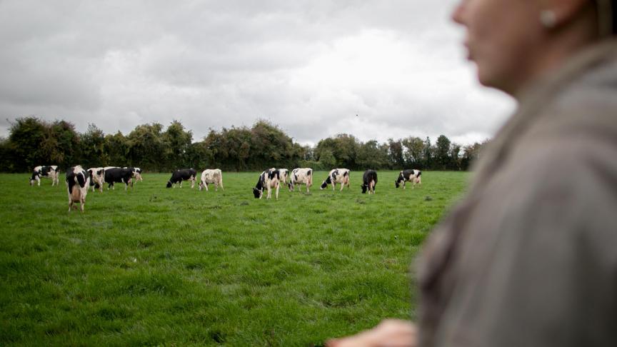 De FOD VVVL bereidt de inning van de verplichte bijdragen voor het Sanitair Fonds voor.