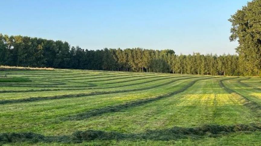 Een lezer van Landbouwleven dient bezwaar integen het natuurbeheerplan Beverbeekvallei, Kabbeekvallei en Duivenbos.