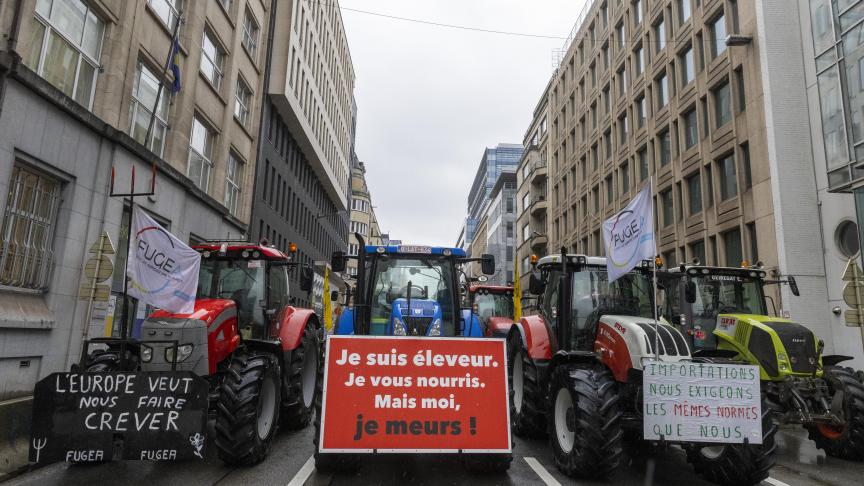 De Europese Raad geeft groen licht voor gerichte herziening van het gemeenschappelijk landbouwbeleid (GLB).