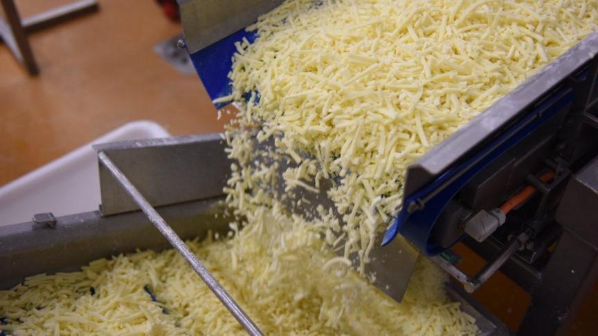 Mozzarella is goed voor twee derde van alle geproduceerde kaas bij Belgische zuivelbedrijven.