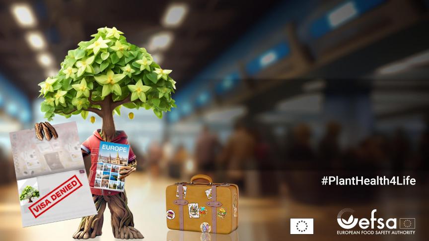 #PlantHealth4Life is een campagne die is ontwikkeld rondom plantgezondheid in de hele EU.