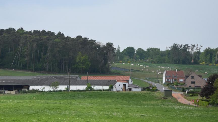 Er is geen lijst beschikbaar van landbouwgronden die de Vlaamse overheid binnen het projectgebied Brabantse Wouden wil verwerven voor bebossing of natuurrealisatie.