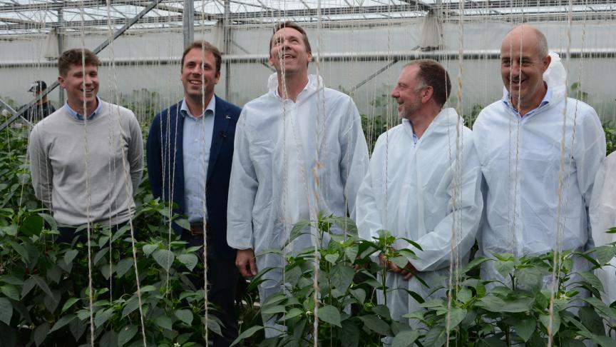 Telers Alexander en Lawrence Van den Bosch (links) leidden Vlaams minister van Landbouw Jo Brouns en de genodigden rond op hun tuinbouwbedrijf.