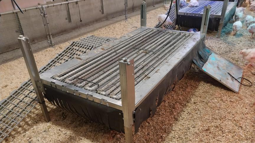 Prototype van een multifunctioneel platform voor vleeskuikens met een donkere en afgeschermde zone, watergekoelde buizen, mestopvang en -afvoer.