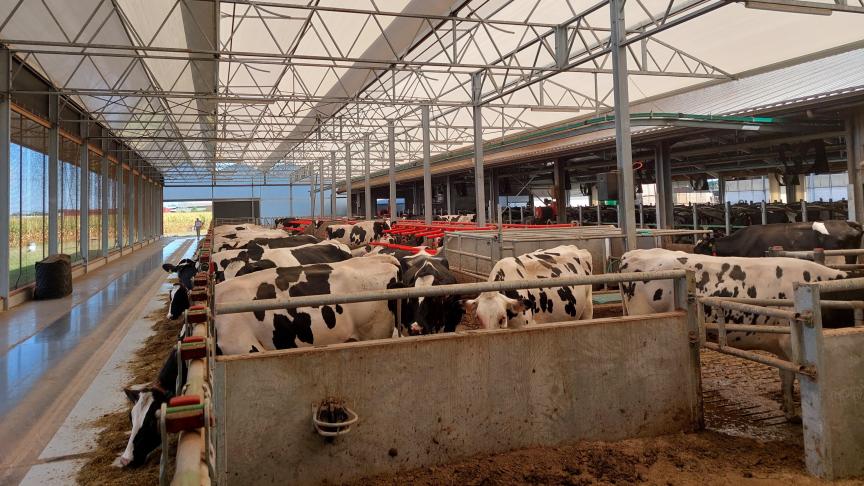 Voor de ammoniakemissiereducerende investeringen wordt een onderscheid gemaakt tussen nieuwbouw en andere investeringen.