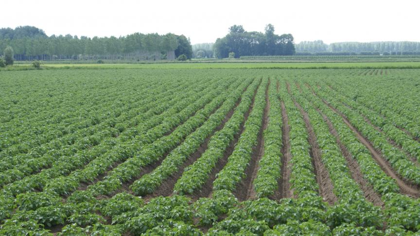 66% van de Belgische landbouwbedrijven met plantaardige productie zijn gecertificeerd bij Vegaplan in 2023.
