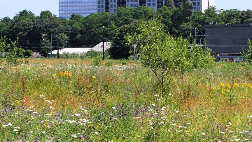 Nog tot 24 september kunnen Belgen online hun mening geven over de biodiversiteitsstrategie van het land.
