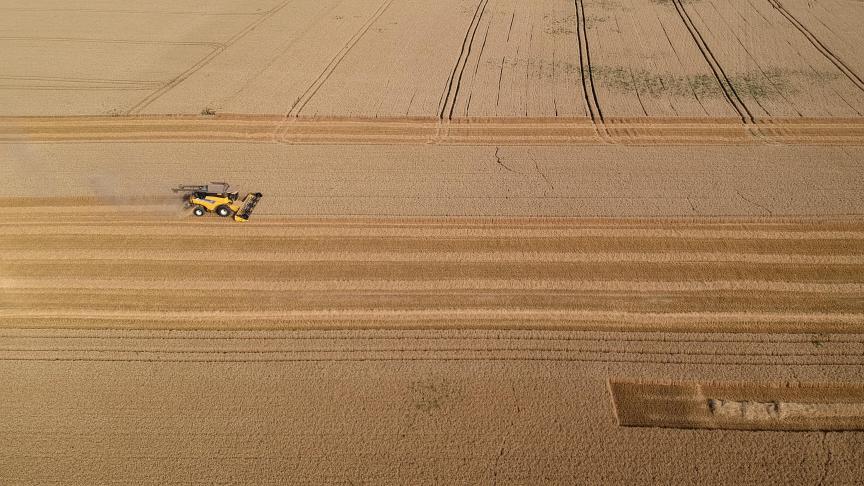 Meer dan 27% van de Amerikaanse tarweoogst was in week 25 al achter de rug.
