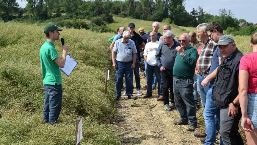 Mathijs Hast van Praktijkpunt Landbouw Vlaams-Brabant geeft uitleg over de koolzaadrassenproef in Bertem.
