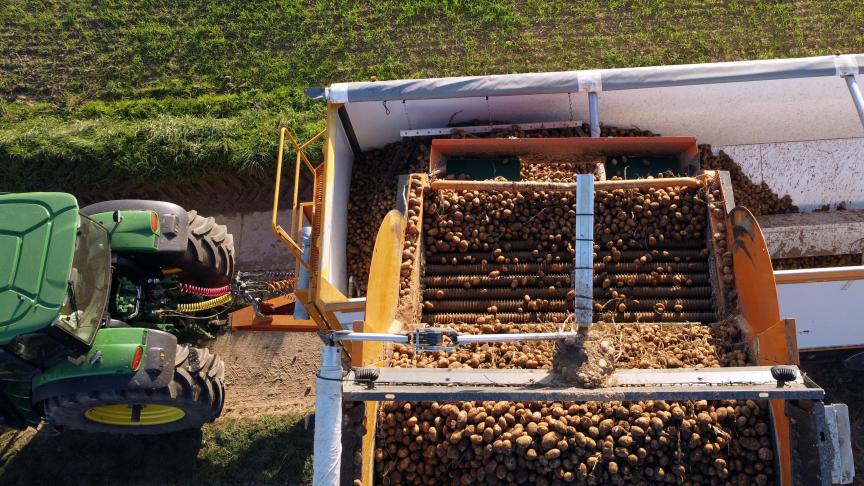 Door de manieren waarop boeren hun aardappelen kunnen verkopen, zitten ze gevangen in een systeem dat hun autonomie en financiële stabiliteit beperkt, zegt Greenpeace-woordvoerder Joeri Thijs.