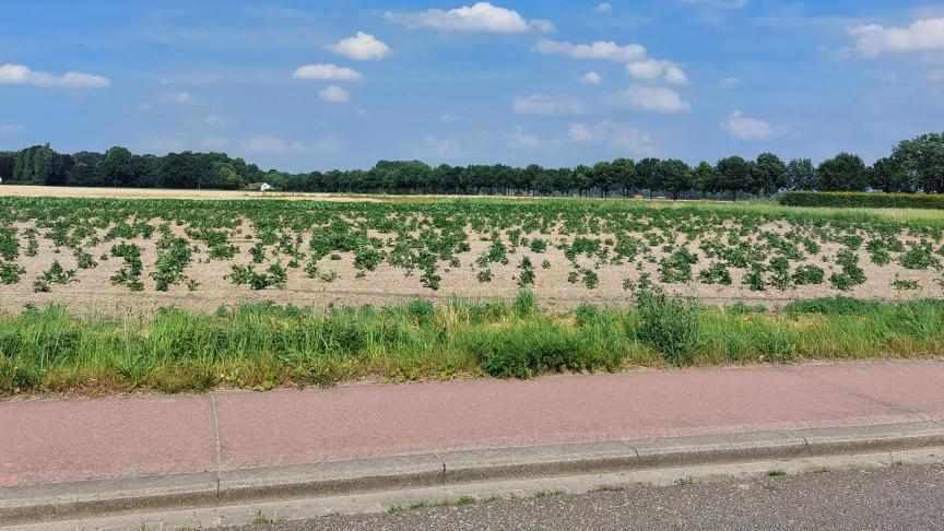 De Belgapomnotering wijzigt niet op 28 juni.