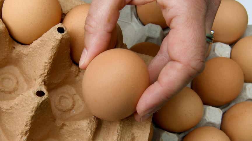 De EU heft sinds 2 juli terug tarieven op de Oekraïense export van eieren naar de Europese Unie.