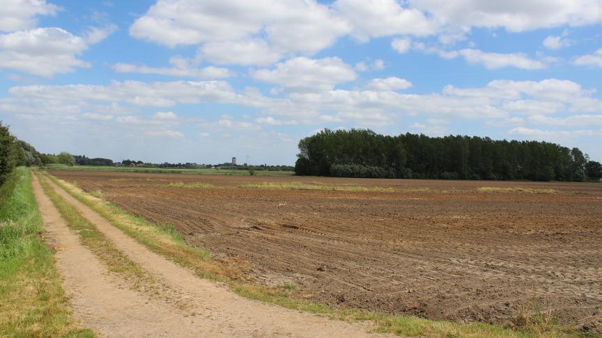 De SALV roept lokale besturen op om  met en op publieke landbouwgronden een landbouwversterkend, bedrijfsgericht beleid te ontwikkelen.