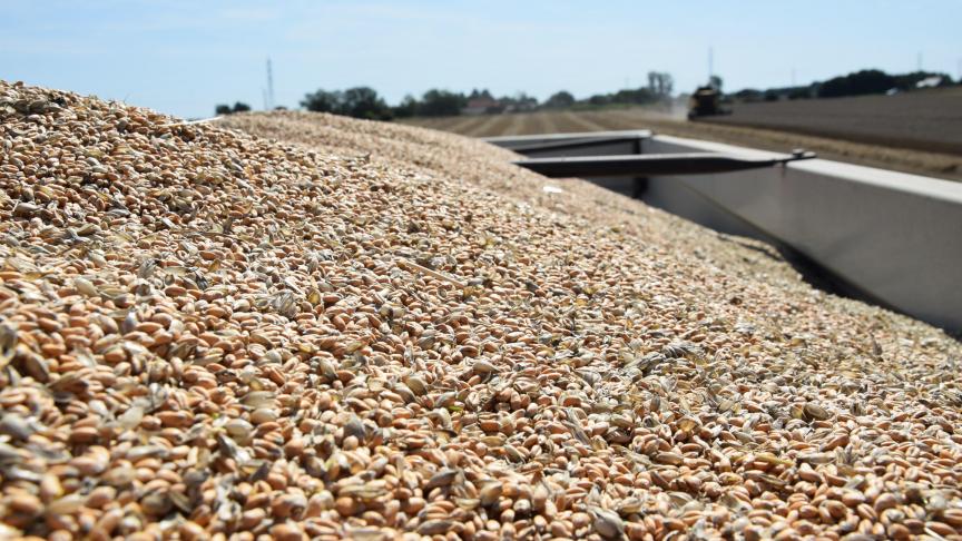 Zelfs voor droog graan rekent Fegra voor het eerst een forfaitaire hogere droogkost aan. Agrofront vindt dit onaanvaardbaar.
