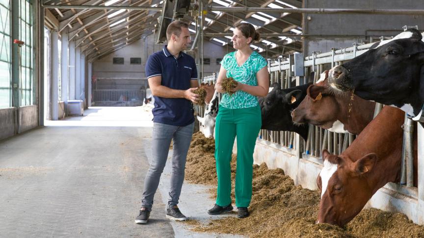 Onze boeren hebben nood aan een hoge servicegraad. Het is dé reden waarvoor we zoveel experts in huis hebben , stelt Niek Depoorter.