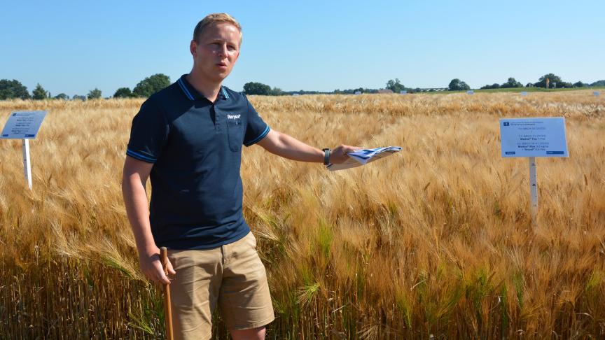 Michiel Hubau adviseerde om bij groeizaam weer in gerst en tarwe zo vroeg mogelijk te verstevigen met Prodax, Medax Max of Percival.