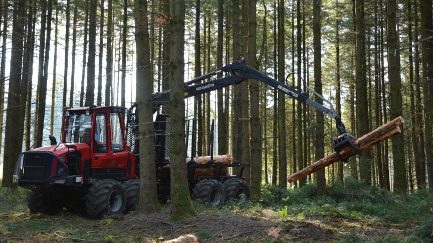 Na de 4 dagen op de Beurs van Libramont worden de bezoekers verwacht in het bos van Bertrix, waar  de 22ste editie van Demo Forest georganiseerd wordt.