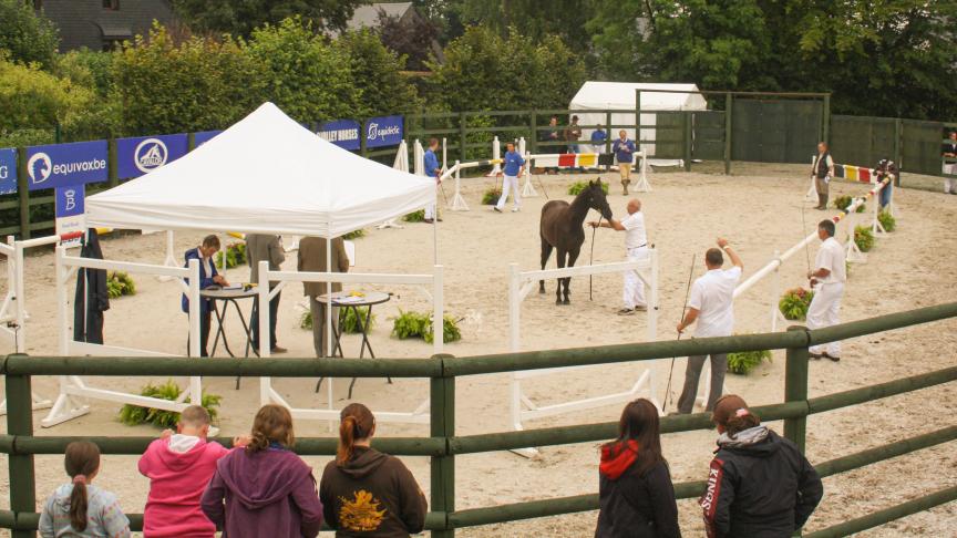 De piste Havrincourt in Libramont is intussen een begrip.