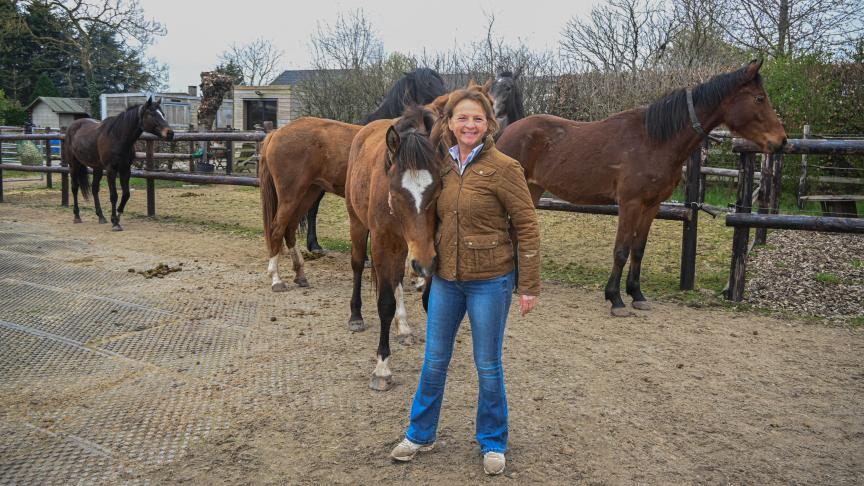 Anne De Wulf koos 5 jaar geleden voor het concept van de ‘actieve stal’. Er is een wachtlijst om je paard bij haar te stallen.