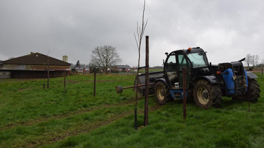 De deadline voor de aanvraag van subsidies voor de aanplant van boslandbouwsystemen is 20 september.