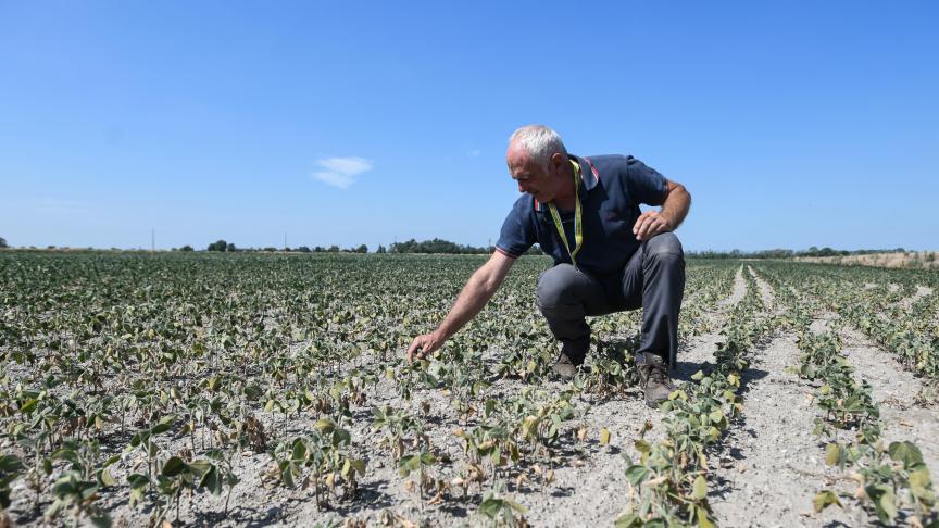 De landbouw in het midden en zuiden van Italië kampt met een ernstige droogte.
