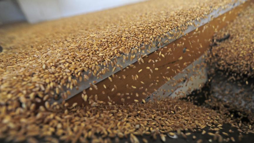 Oekraïne betaalt sinds 22 juli terug invoerheffingen op de export van gries naar de EU.