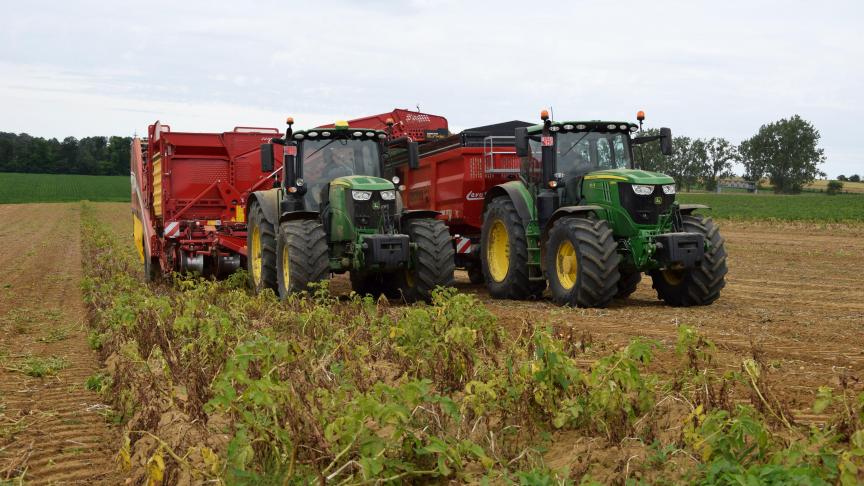 Nog nooit eerder waren de situaties zo extreem uiteenlopend in het aardappelveld: op een moment dat de vroege aardappelen gerooid worden, dienen de late extreem goed opgevolgd te worden.