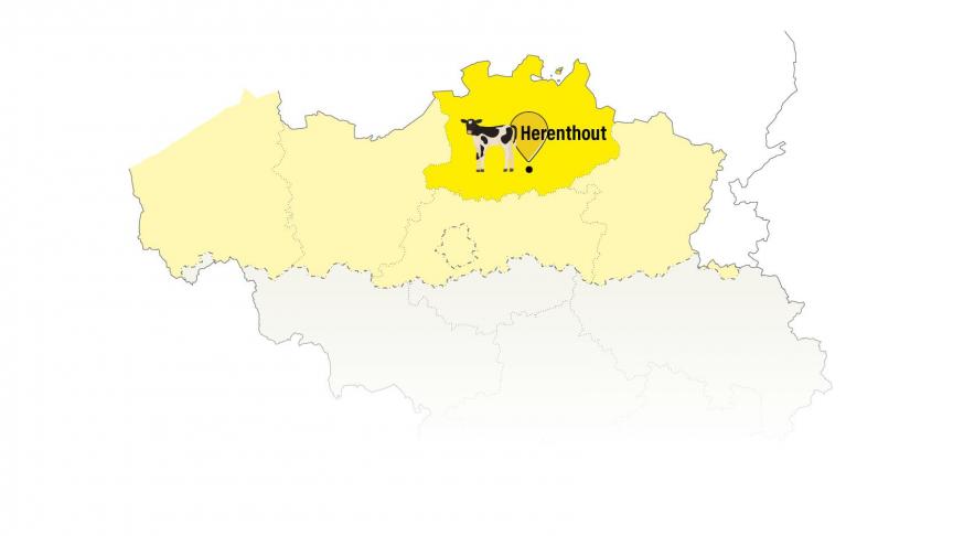 carte-Herenthout (2).web