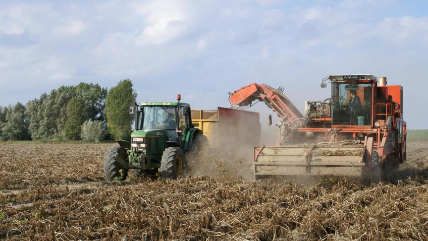 Aardappelproductie in de EU kende een kleine stijgingin 2023.