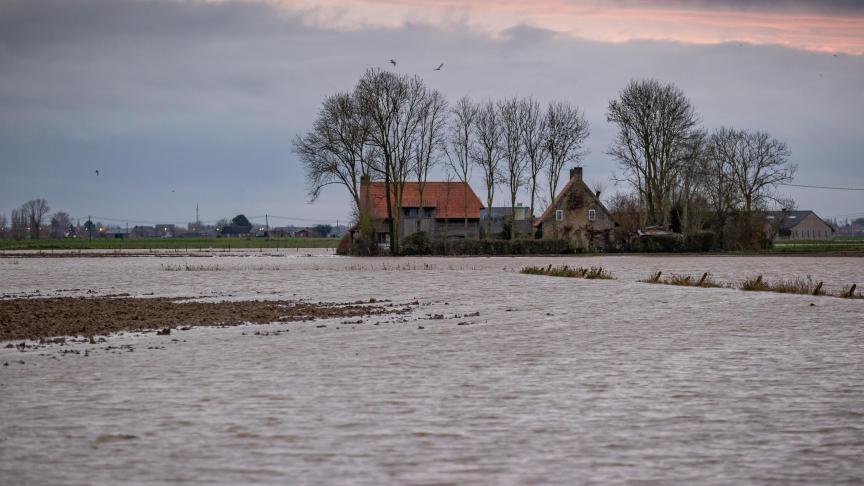 Na de waterellende van vorig jaar wordt de winterdijk van het Blankaartbekken nu verstevigd.